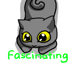 Intense Cats sticker #11532756
