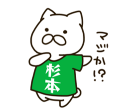 SUGIMOTO-cat sticker #11535843