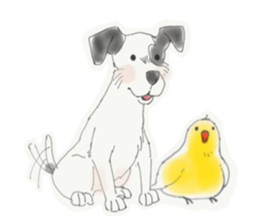 DAVE AND CHIRRUP sticker #11593952