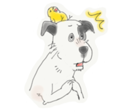 DAVE AND CHIRRUP sticker #11593986