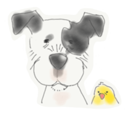 DAVE AND CHIRRUP sticker #11593991