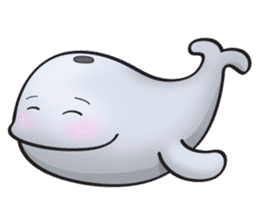 Poco the whale sticker #11622768