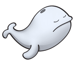 Poco the whale sticker #11622781