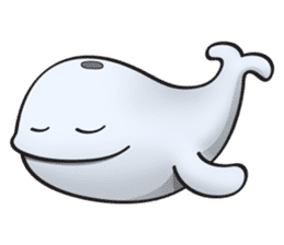Poco the whale sticker #11622788