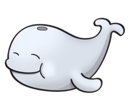 Poco the whale sticker #11622801