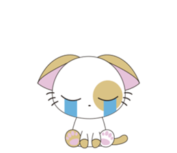 Aki-chan Kitten sticker #11692730