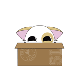 Aki-chan Kitten sticker #11692738