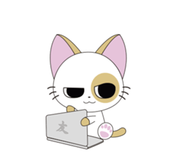 Aki-chan Kitten sticker #11692742