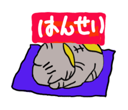 Daily life of a skat cat sticker #11782042