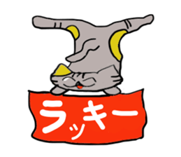 Daily life of a skat cat sticker #11782053