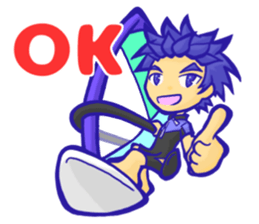 Enjoy Windsurfing sticker #12048287