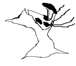 ZeeZee sticker #12186385