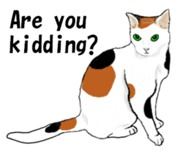 Beautiful cat and the big character sticker #12255407