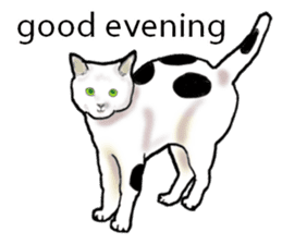 Beautiful cat and the big character sticker #12255411