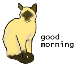 Beautiful cat and the big character sticker #12255412