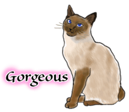 Beautiful cat and the big character sticker #12255414