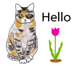 Beautiful cat and the big character sticker #12255416