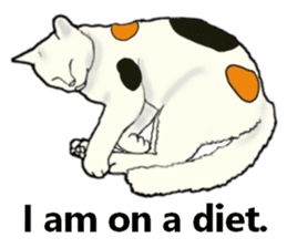 Beautiful cat and the big character sticker #12255418