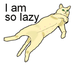 Beautiful cat and the big character sticker #12255419