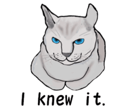 Beautiful cat and the big character sticker #12255421