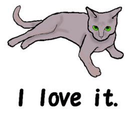 Beautiful cat and the big character sticker #12255422