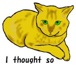 Beautiful cat and the big character sticker #12255423