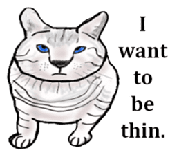 Beautiful cat and the big character sticker #12255424