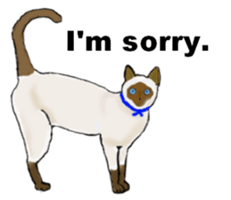 Beautiful cat and the big character sticker #12255428