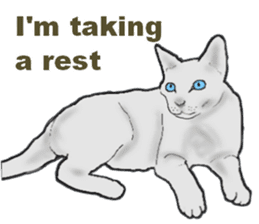 Beautiful cat and the big character sticker #12255430