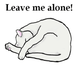 Beautiful cat and the big character sticker #12255431