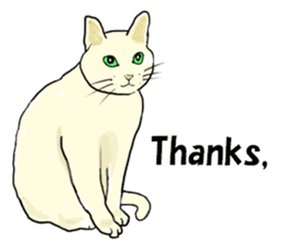 Beautiful cat and the big character sticker #12255441