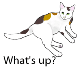 Beautiful cat and the big character sticker #12255445