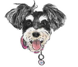 Smiley Schnauzers sticker #12552030
