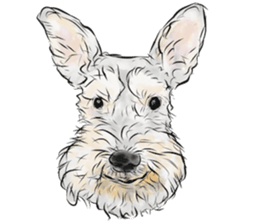 Smiley Schnauzers sticker #12552050