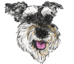 Smiley Schnauzers sticker #12552058