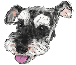 Smiley Schnauzers sticker #12552062