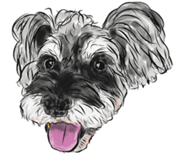 Smiley Schnauzers sticker #12552063