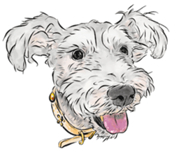 Smiley Schnauzers sticker #12552067