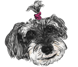 Smiley Schnauzers sticker #12552068