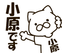 KOHARA-cat sticker #12799110