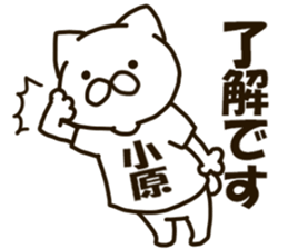 KOHARA-cat sticker #12799112