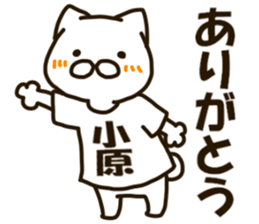 KOHARA-cat sticker #12799113