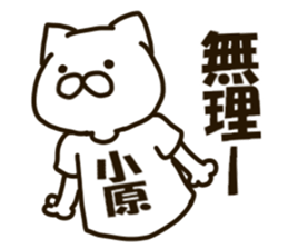 KOHARA-cat sticker #12799114