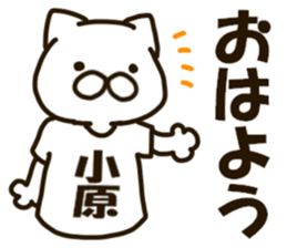KOHARA-cat sticker #12799116