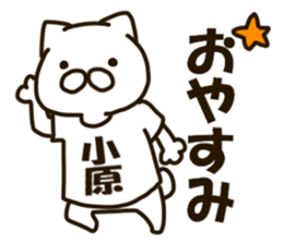 KOHARA-cat sticker #12799117