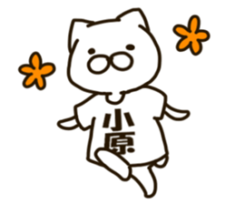 KOHARA-cat sticker #12799118