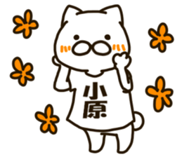 KOHARA-cat sticker #12799120