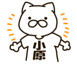 KOHARA-cat sticker #12799121