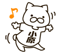 KOHARA-cat sticker #12799122