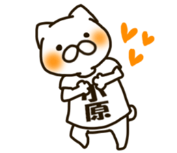 KOHARA-cat sticker #12799124